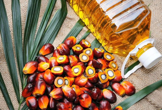 Are Seed Oils Really Destroying Your Health?