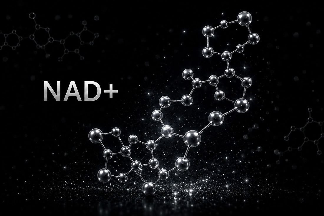 NAD+ 500mg What the Science Says About Cellular Research